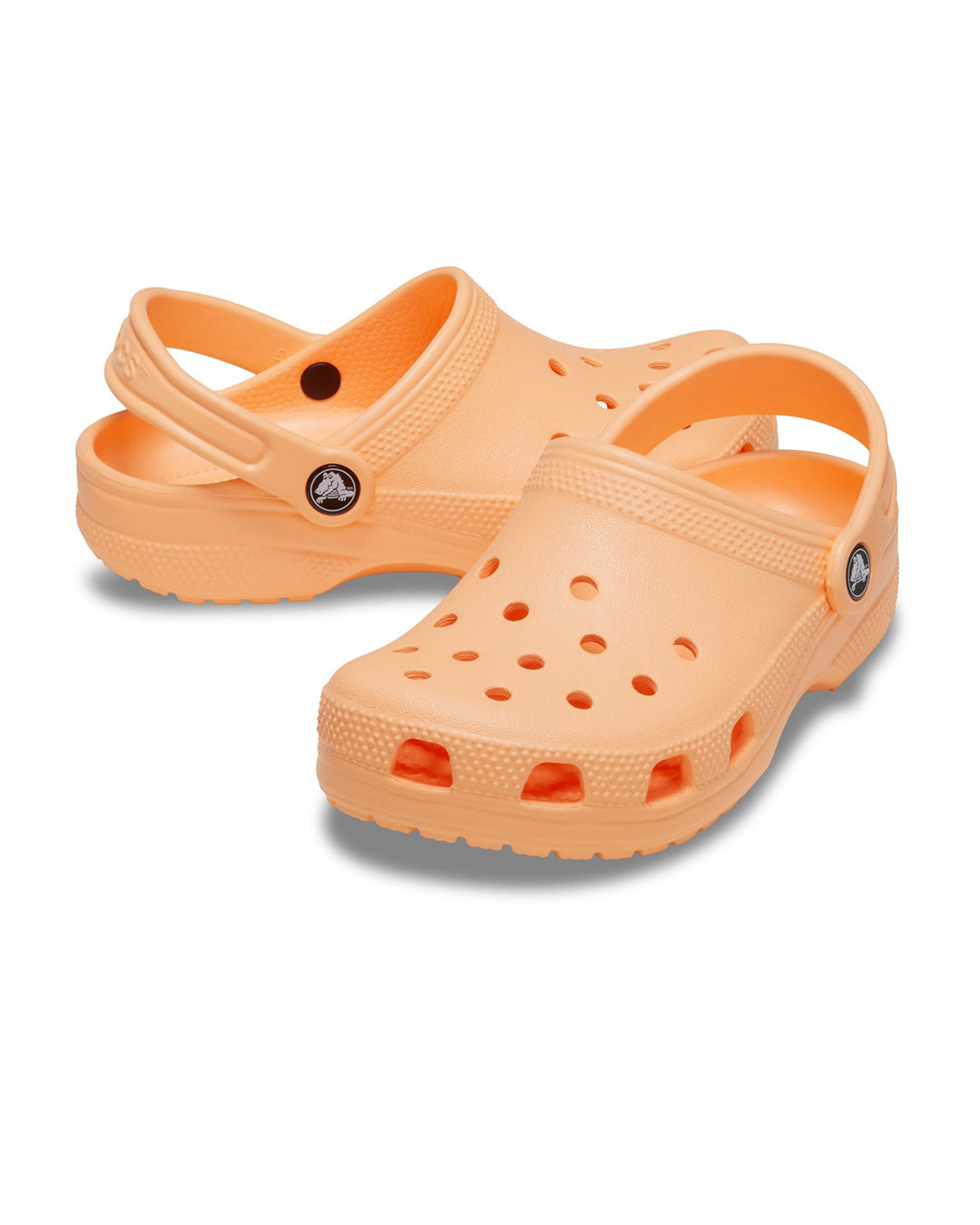 CLASSIC CLOG T