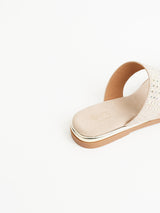Delco Sparkle Chappal