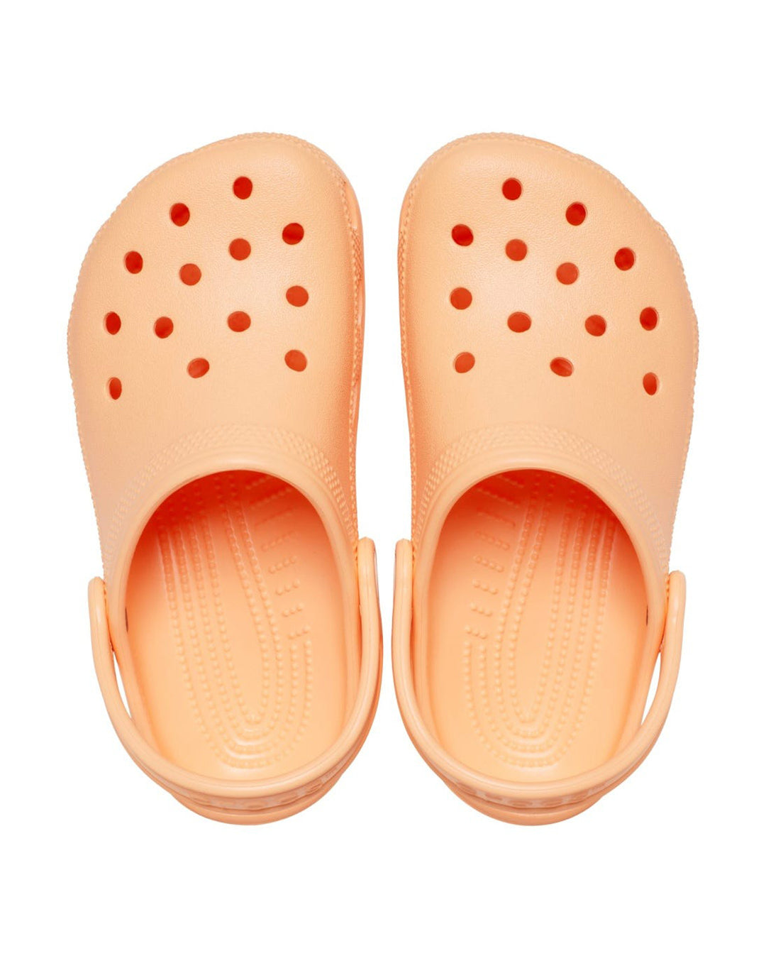 CLASSIC CLOG K