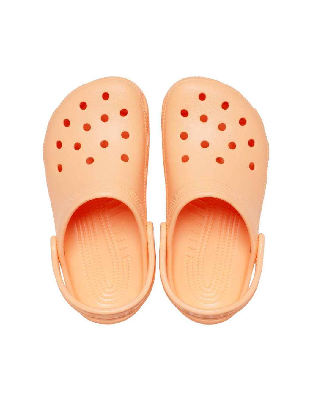 CLASSIC CLOG T