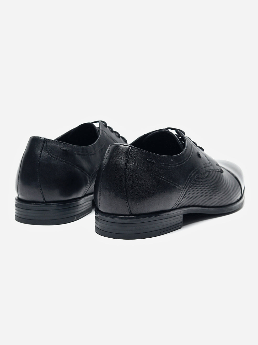 Classic Derby Collection