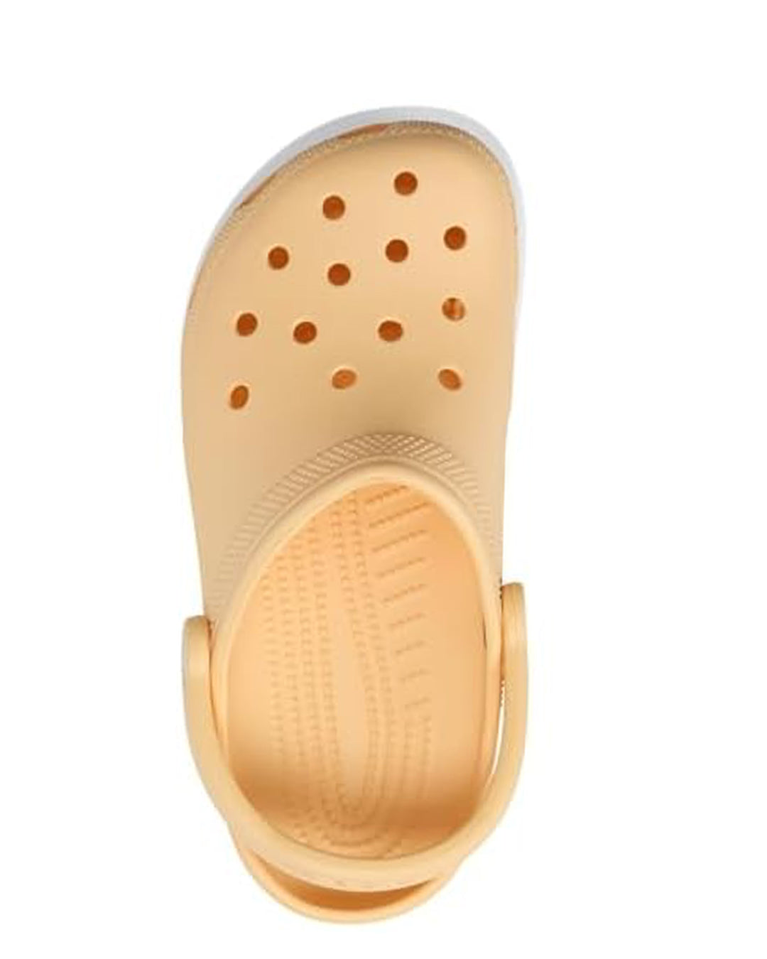 CLASSIC CLOG T