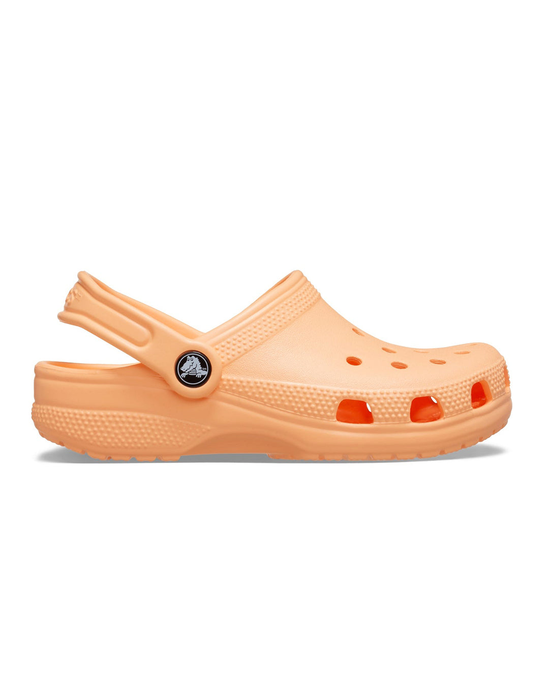 CLASSIC CLOG T