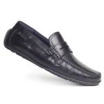 Pierre Cardin PC3002