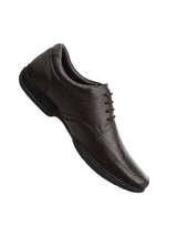 LC2129B1 Formal Derby Shoes